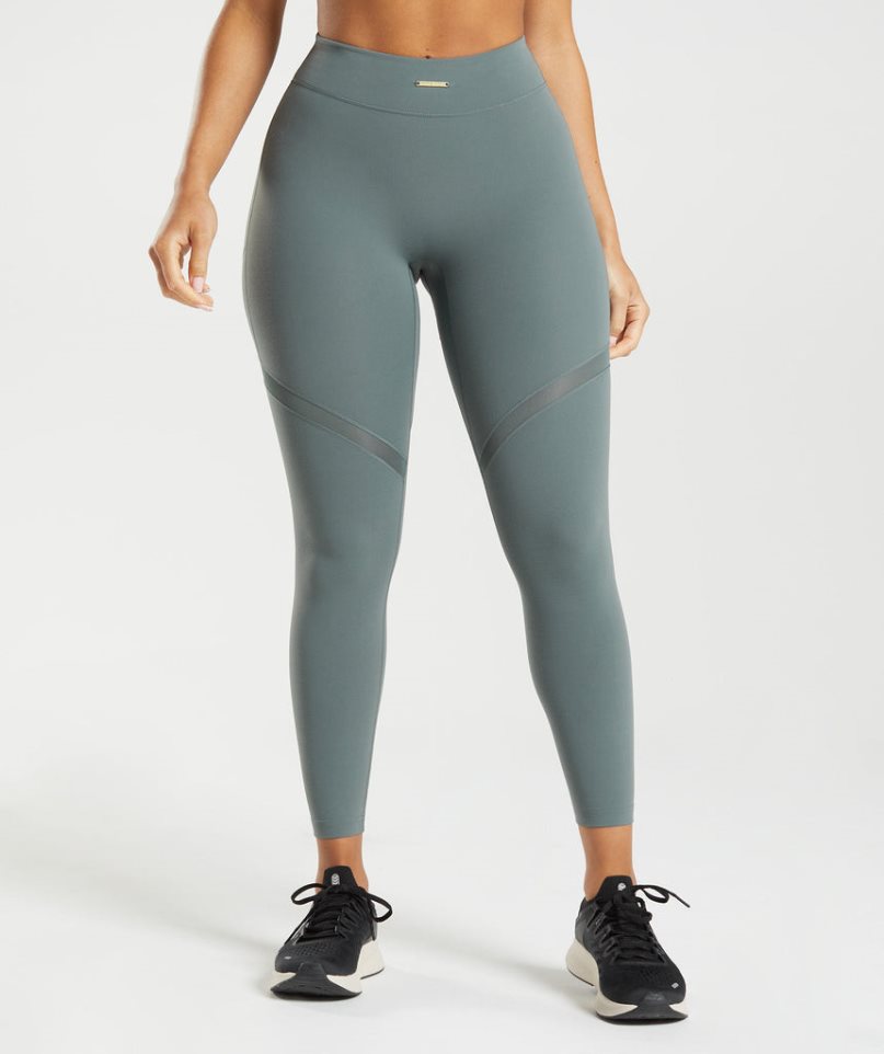 Women\'s Gymshark Whitney Mesh Leggings Grey | CA 386A57